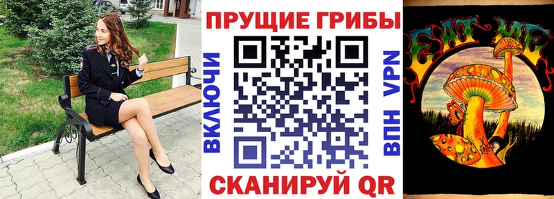 дарнет шоп  Мегион  Псилоцибиновые грибы Psilocybine cubensis 